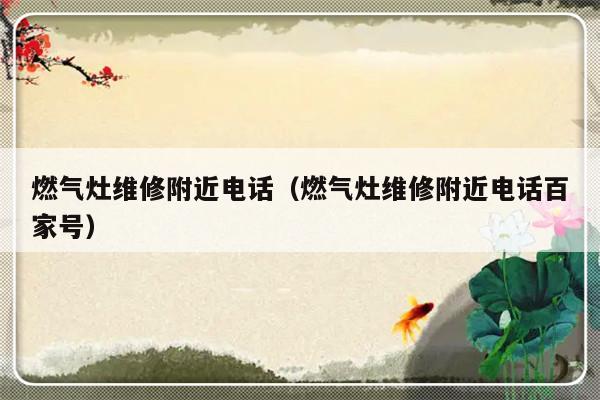 燃气灶维修附近电话(燃气灶维修附近电话百家号)-313啦实用网