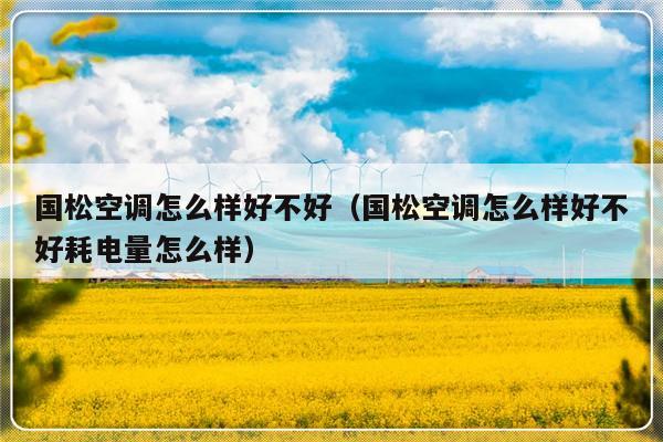 国松空调怎么样好不好(国松空调怎么样好不好耗电量怎么样)