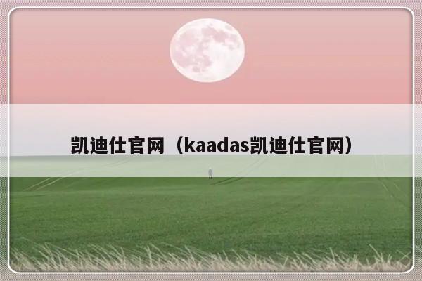凯迪仕官网(kaadas凯迪仕官网)