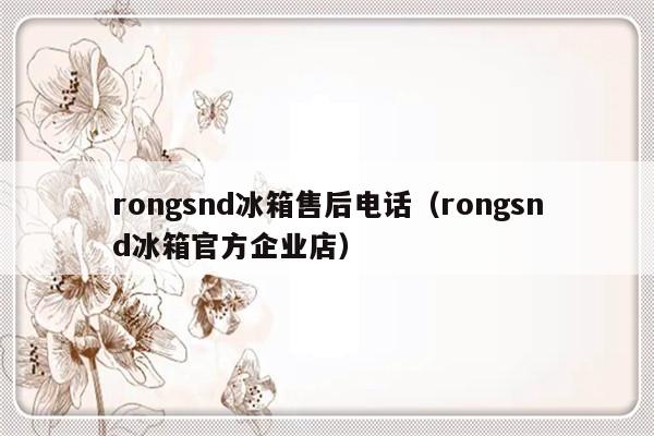 rongsnd冰箱售后电话(rongsnd冰箱官方企业店)-313啦实用网