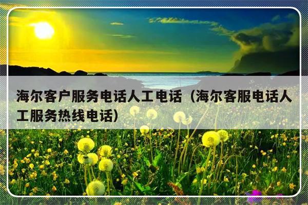 海尔客户服务电话人工电话(海尔客服电话人工服务热线电话)-313啦实用网