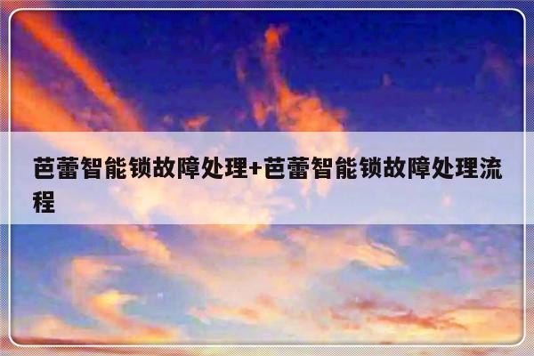 芭蕾智能锁故障处理+芭蕾智能锁故障处理流程