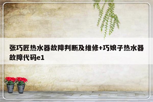 张巧匠热水器故障判断及维修+巧娘子热水器故障代码e1-313啦实用网