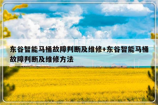 东谷智能马桶故障判断及维修+东谷智能马桶故障判断及维修方法