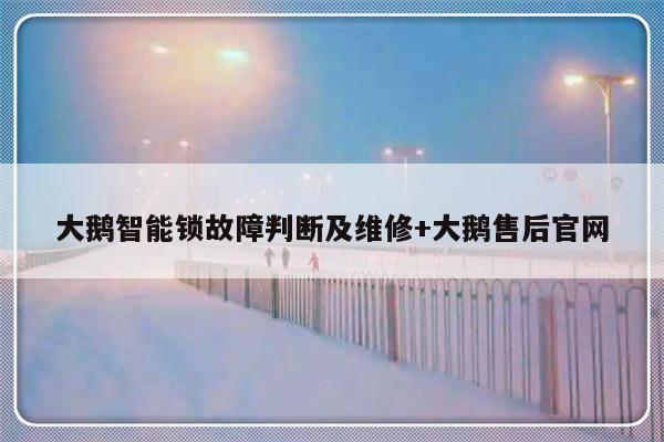 大鹅智能锁故障判断及维修+大鹅售后官网