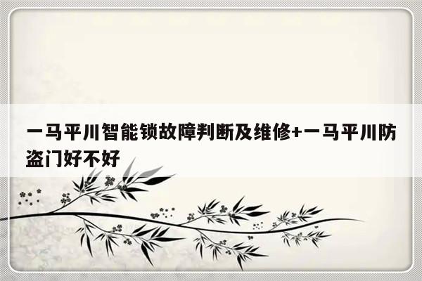 一马平川智能锁故障判断及维修+一马平川防盗门好不好-313啦实用网