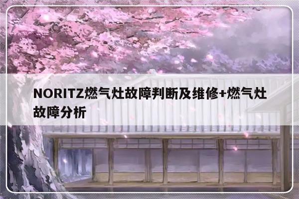 NORITZ燃气灶故障判断及维修+燃气灶故障分析
