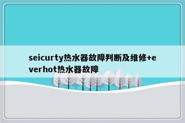 seicurty热水器故障判断及维修+everhot热水器故障