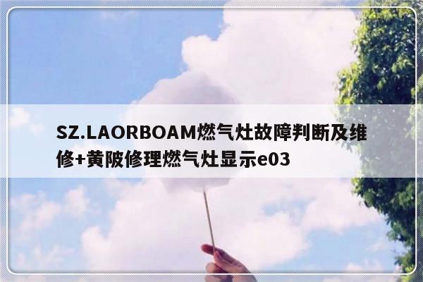 SZ.LAORBOAM燃气灶故障判断及维修+黄陂修理燃气灶显示e03