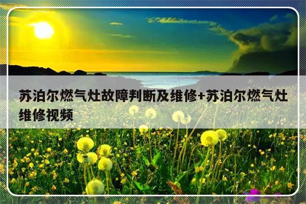 苏泊尔燃气灶故障判断及维修+苏泊尔燃气灶维修视频