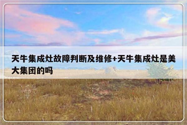 天牛集成灶故障判断及维修+天牛集成灶是美大集团的吗-313啦实用网