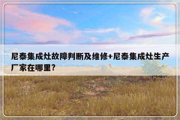 尼泰集成灶故障判断及维修+尼泰集成灶生产厂家在哪里?-313啦实用网