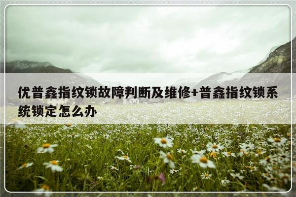 优普鑫指纹锁故障判断及维修+普鑫指纹锁系统锁定怎么办