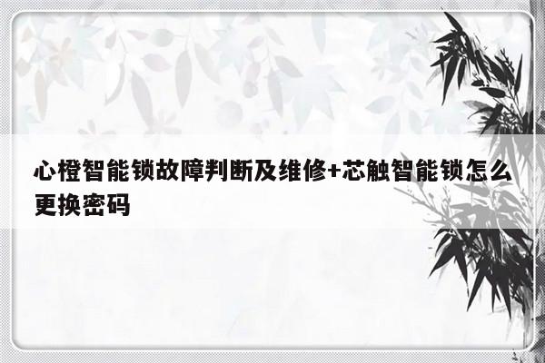 心橙智能锁故障判断及维修+芯触智能锁怎么更换密码