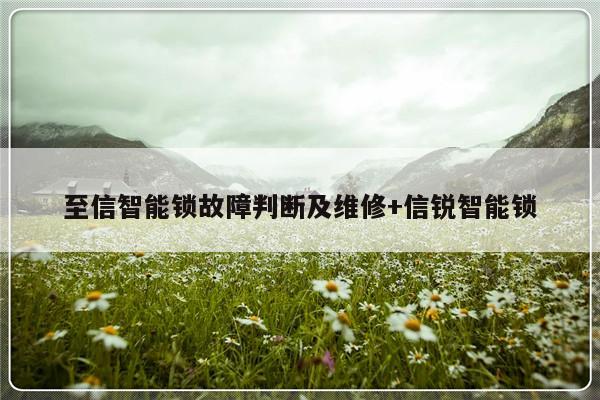 至信智能锁故障判断及维修+信锐智能锁