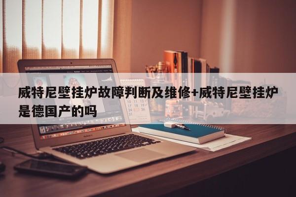 威特尼壁挂炉故障判断及维修+威特尼壁挂炉是德国产的吗
