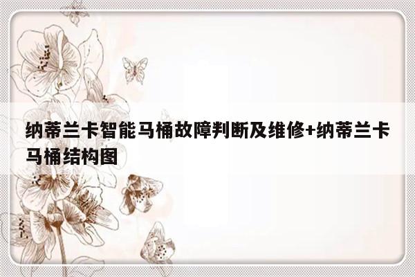 纳蒂兰卡智能马桶故障判断及维修+纳蒂兰卡马桶结构图