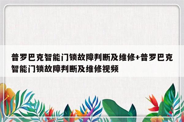 普罗巴克智能门锁故障判断及维修+普罗巴克智能门锁故障判断及维修视频