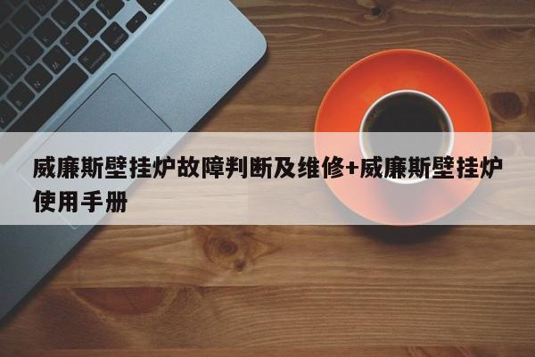 威廉斯壁挂炉故障判断及维修+威廉斯壁挂炉使用手册-313啦实用网