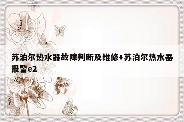 苏泊尔热水器故障判断及维修+苏泊尔热水器报警e2
