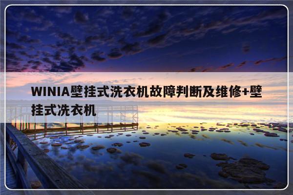 WINIA壁挂式洗衣机故障判断及维修+壁挂式冼衣机