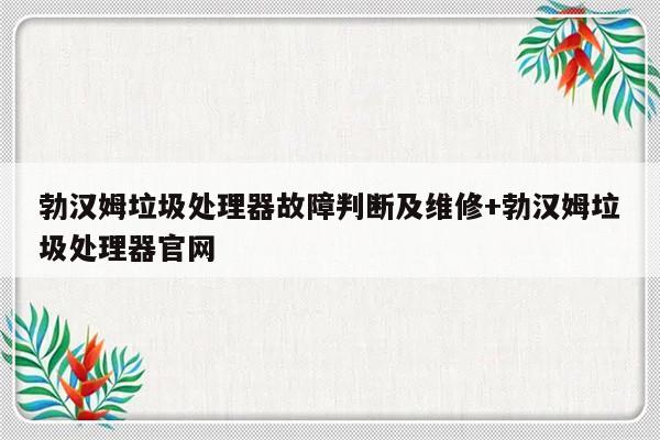 勃汉姆垃圾处理器故障判断及维修+勃汉姆垃圾处理器官网