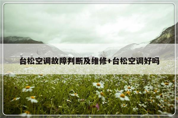 台松空调故障判断及维修+台松空调好吗