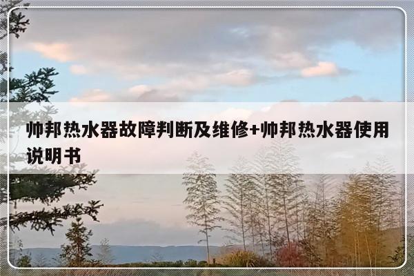 帅邦热水器故障判断及维修+帅邦热水器使用说明书-313啦实用网