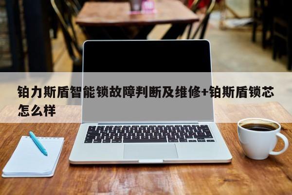 铂力斯盾智能锁故障判断及维修+铂斯盾锁芯怎么样