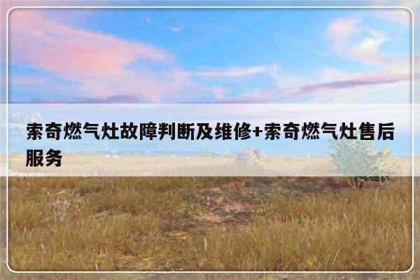 索奇燃气灶故障判断及维修+索奇燃气灶售后服务