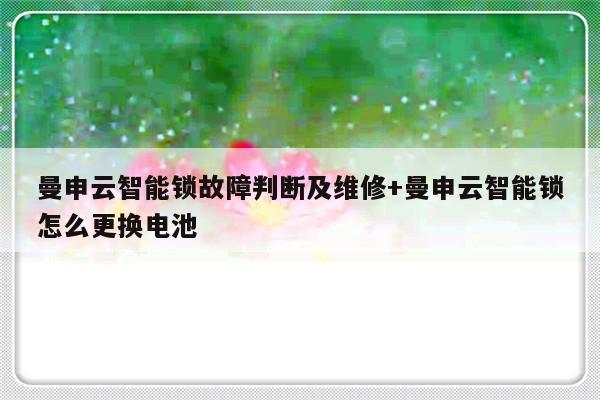 曼申云智能锁故障判断及维修+曼申云智能锁怎么更换电池-313啦实用网