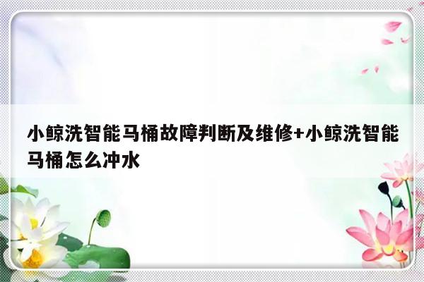 小鲸洗智能马桶故障判断及维修+小鲸洗智能马桶怎么冲水