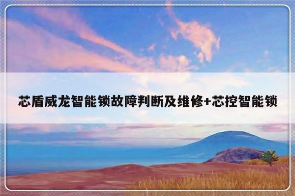 芯盾威龙智能锁故障判断及维修+芯控智能锁