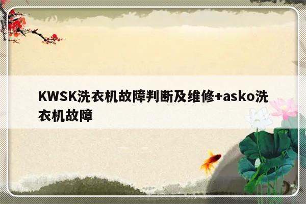KWSK洗衣机故障判断及维修+asko洗衣机故障