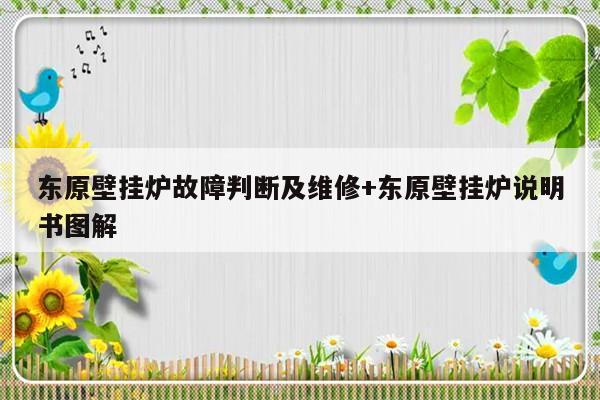 东原壁挂炉故障判断及维修+东原壁挂炉说明书图解-313啦实用网