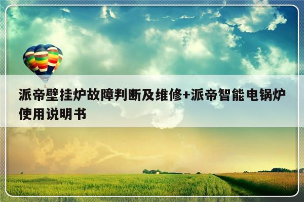 派帝壁挂炉故障判断及维修+派帝智能电锅炉使用说明书