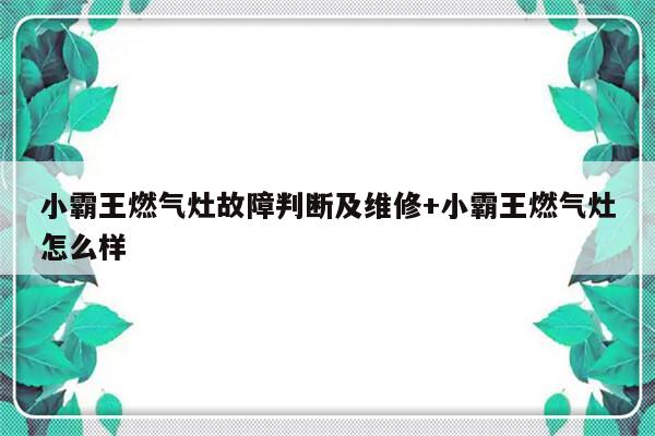 小霸王燃气灶故障判断及维修+小霸王燃气灶怎么样-313啦实用网
