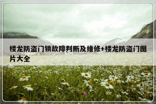 楼龙防盗门锁故障判断及维修+楼龙防盗门图片大全