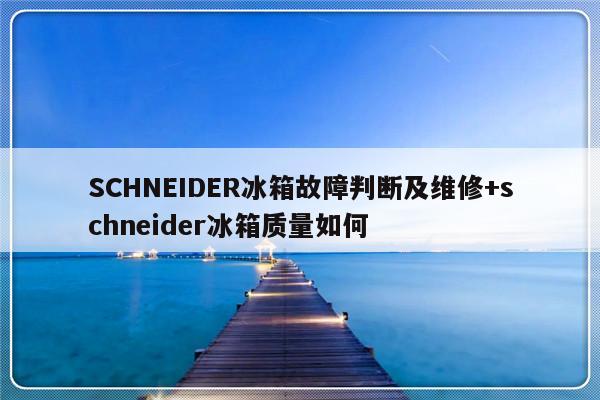 SCHNEIDER冰箱故障判断及维修+schneider冰箱质量如何