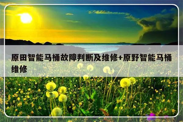 原田智能马桶故障判断及维修+原野智能马桶维修