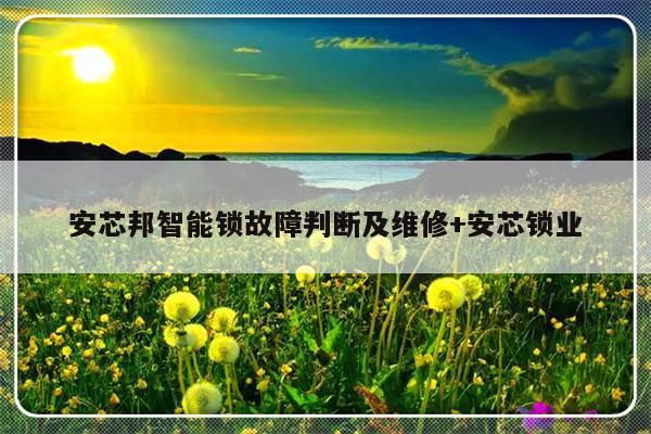 安芯邦智能锁故障判断及维修+安芯锁业