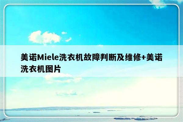 美诺Miele洗衣机故障判断及维修+美诺洗衣机图片-313啦实用网