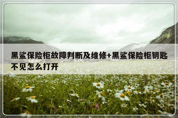 黑鲨保险柜故障判断及维修+黑鲨保险柜钥匙不见怎么打开