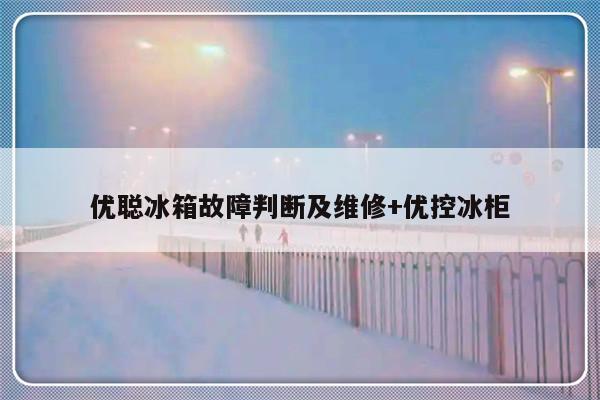 优聪冰箱故障判断及维修+优控冰柜