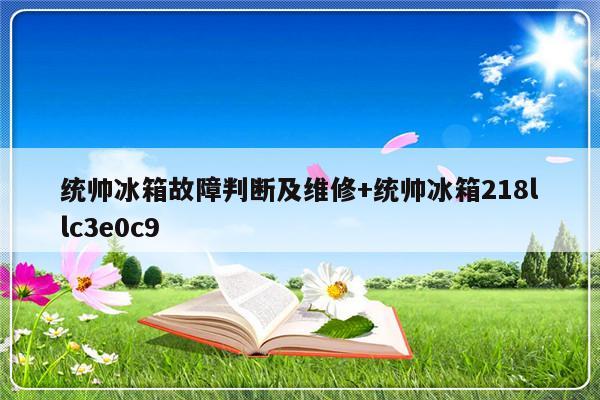 统帅冰箱故障判断及维修+统帅冰箱218llc3e0c9