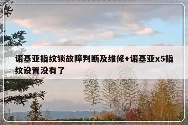 诺基亚指纹锁故障判断及维修+诺基亚x5指纹设置没有了