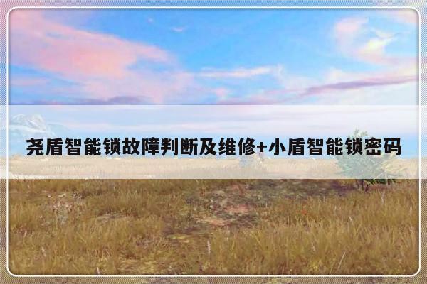 尧盾智能锁故障判断及维修+小盾智能锁密码