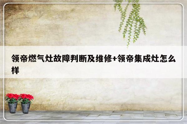 领帝燃气灶故障判断及维修+领帝集成灶怎么样
