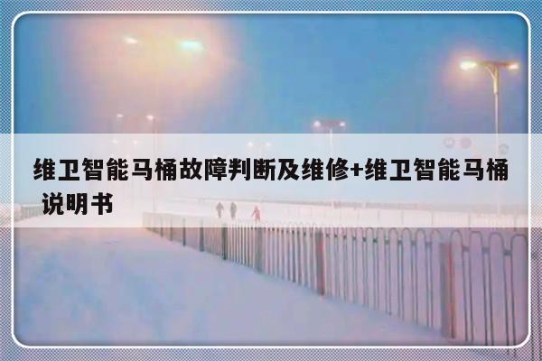 维卫智能马桶故障判断及维修+维卫智能马桶 说明书-313啦实用网