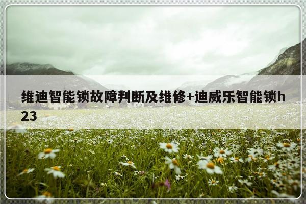 维迪智能锁故障判断及维修+迪威乐智能锁h23